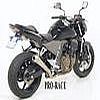 Pot d'échappement ou Silencieux Arrow Kawasaki Z 750 2004 2006 ZR750J